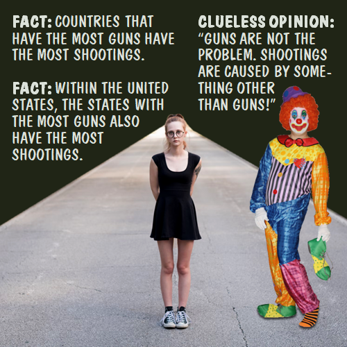 Gun facts vs. gun opinions