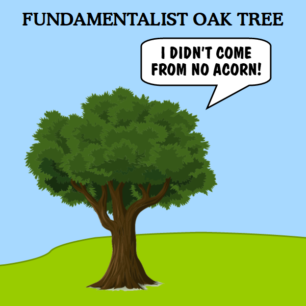 Fundamentalist Oak Tree