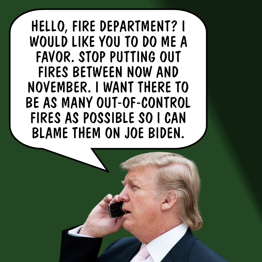 Another perfect phone call from Donald Trump